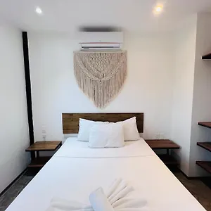Hotel Coco Live